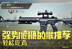 和平精英版本强势qiang械推荐！助你轻松吃鸡！和平精英版本强势qiang械推荐，助你轻松吃鸡！